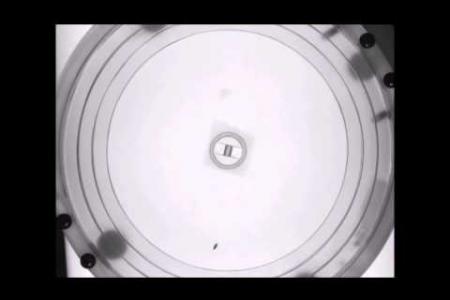 A Fly Freezes and Escapes in Response to an Overhead Shadow
