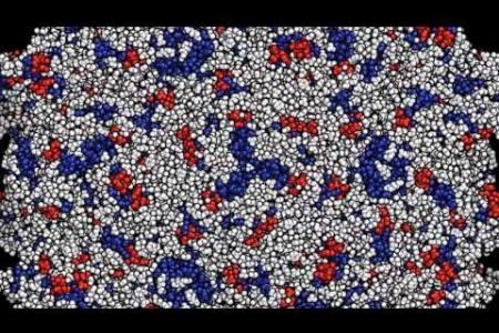 Caltech Biologists Deliver Neutralizing Antibodies that Protect Against HIV in Mice