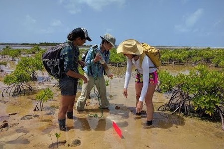 Drones Make 3-D Maps of Microbial Mats