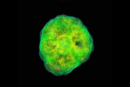 Three-Dimensional Core-Collapse Supernova (highest resolution)