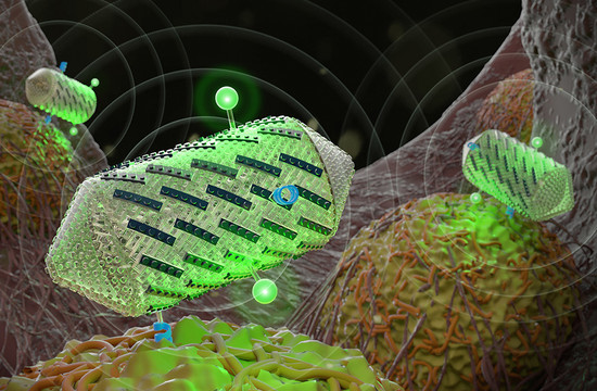 illustration of protein-shelled structures called gas vesicles