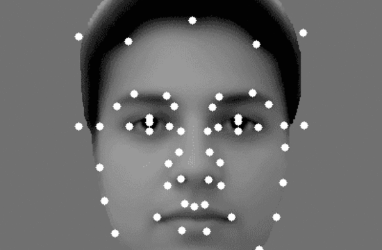 animated graphic of a human head showing key recognition points