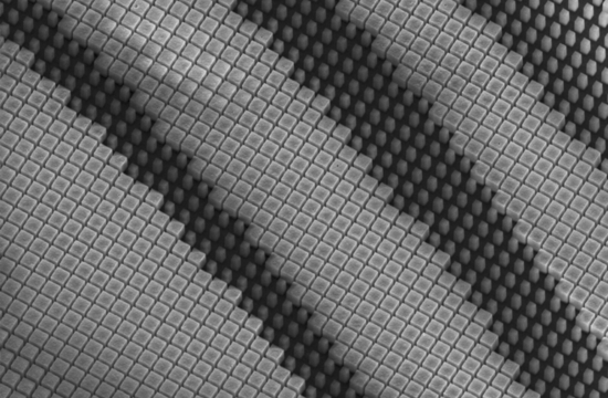 A scanning electron microscope image of the silicon nanopillars forming a metasurface.