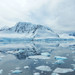 Ocean ice