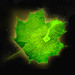 Illustration of artificial leaf
