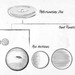 Family tree of exoplanets