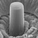 A micrometer-sized pillar of lithium.