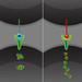 Artist's concept of a cell expressing the Delta1 ligand (left) and a cell expressing the Delta4 ligand (right). While these two ligands activate cellular receptors in the same way, they do so in different patterns over time.