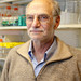 Michael Rosbash (BS '65), the Peter Gruber Endowed Chair in Neuroscience and professor of biology at Brandeis University and an investigator with the Howard Hughes Medical Institute