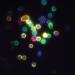 Fluorescence-labeled immature T cells Fluorescence-labeled immature T cells