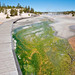 Bacterial mats