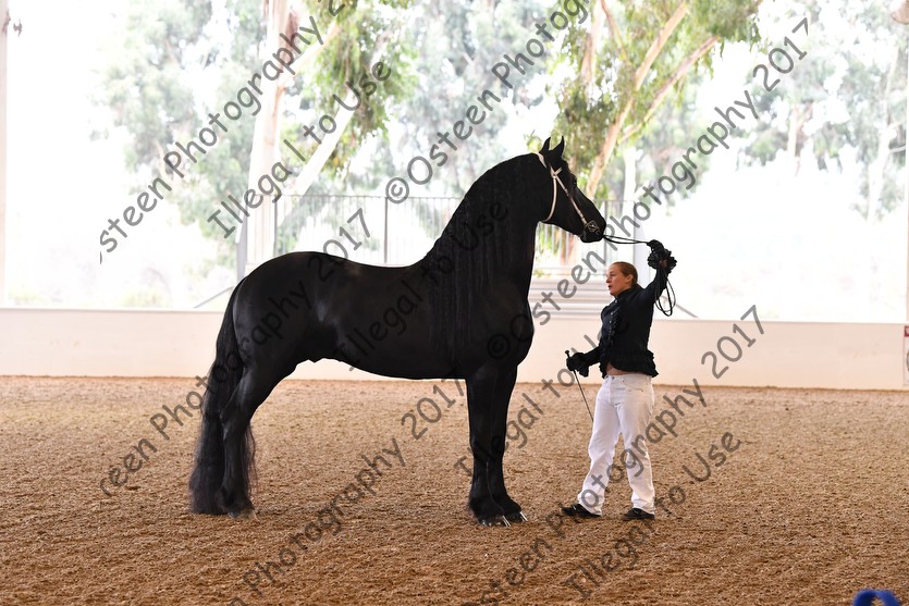 Jingle Bell 2017 Horse Show Proofs 2017