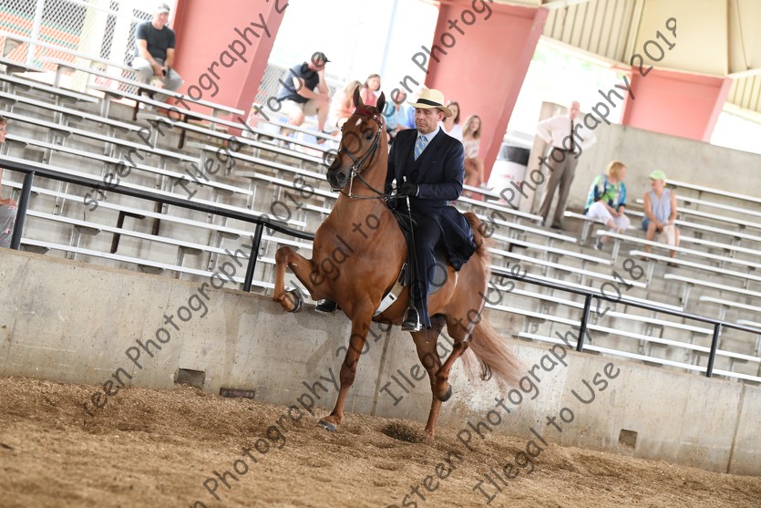 ASAW Summerfun 2018 - Horse Show Proofs - 2018 - www ...