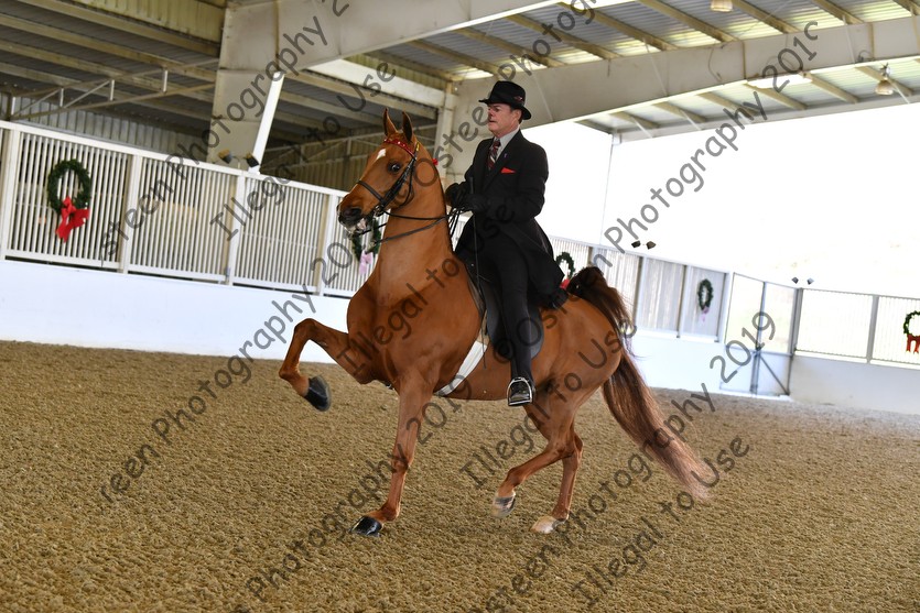 Jingle Bell 2019 Iberian Horse Show Proofs 2019 www