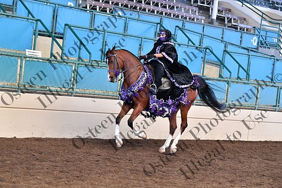 678-8640.JPG Region One 2021 