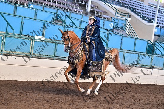 678-8641.JPG Region One 2021 