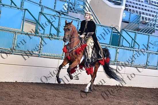 678-8627.JPG Region One 2021 