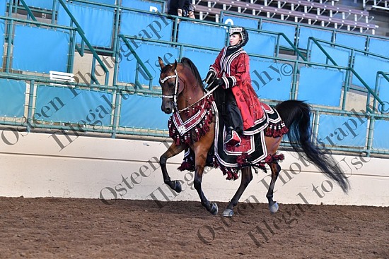 678-8623.JPG Region One 2021 