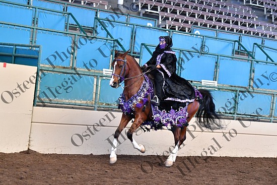 678-8632.JPG Region One 2021 