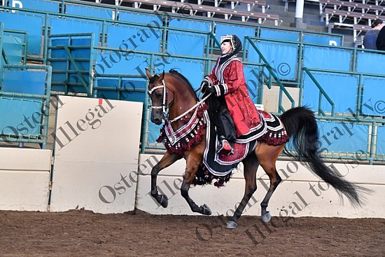 678-8624.JPG Region One 2021 