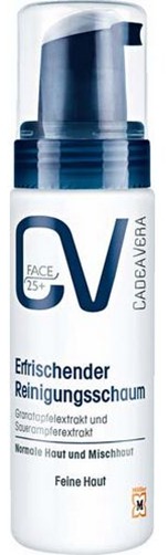 Gesichtsreiniger & Anti-Falten-Creme Für Männer – Reinigungsschaum Mit Anti-Aging-Wirkung, Belebend, Feuchtigkeitsspendend