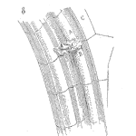 Making Use of Reliability Statistics