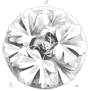 Speaking Of Reliability: Friends Discussing Reliability Engineering Topics | Warranty | Plant Maintenance Drawing of Clef voute Sainte Chapelle Paris