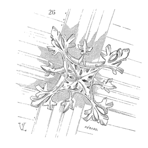 Drawing of Clef voute XVe siecle
