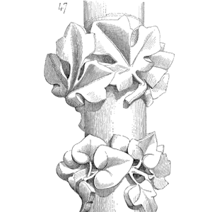 Drawing of Chapiteau nef cathedrale Evreux