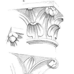 Sketch of Chapiteau plantin eglise Montreale