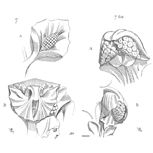 Speaking Of Reliability: Friends Discussing Reliability Engineering Topics | Warranty | Plant Maintenance