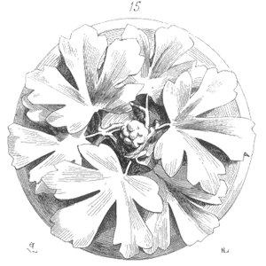 Speaking Of Reliability: Friends Discussing Reliability Engineering Topics | Warranty | Plant Maintenance Speaking Of Reliability: Friends Discussing Reliability Engineering Topics | Warranty | Plant Maintenance