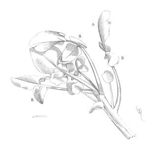Speaking Of Reliability: Friends Discussing Reliability Engineering Topics | Warranty | Plant Maintenance Speaking Of Reliability: Friends Discussing Reliability Engineering Topics | Warranty | Plant Maintenance