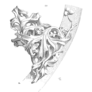 Speaking Of Reliability: Friends Discussing Reliability Engineering Topics | Warranty | Plant Maintenance Speaking Of Reliability: Friends Discussing Reliability Engineering Topics | Warranty | Plant Maintenance