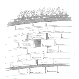 Speaking Of Reliability: Friends Discussing Reliability Engineering Topics | Warranty | Plant Maintenance