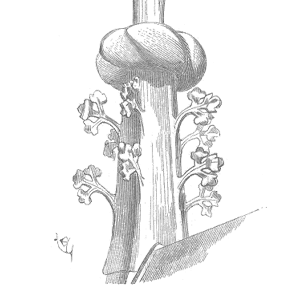 Speaking Of Reliability: Friends Discussing Reliability Engineering Topics | Warranty | Plant Maintenance Speaking Of Reliability: Friends Discussing Reliability Engineering Topics | Warranty | Plant Maintenance