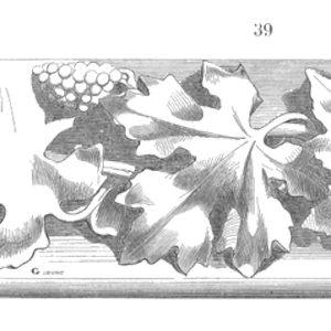 Speaking Of Reliability: Friends Discussing Reliability Engineering Topics | Warranty | Plant Maintenance