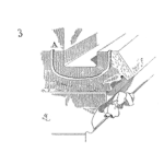 Modeling and Optimizing Process Behavior using Design of Experiments