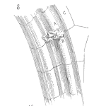 Design for Reliability (DfR)