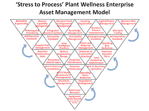 An outline of the various elements comprising the plant wellness enterprise asset management model