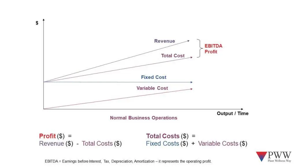 a plot showing the relationship between fixed and variable cost and Total cost vs Revenue (the difference being EBITDA profit) over time