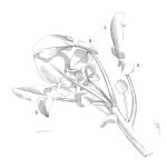 SOR 1086 Enough Data?