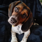 Top Reliability Engineers Make Risk Management Simple for Every Frontline Worker