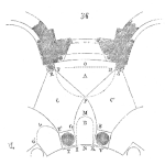 SOR 1160 Data Gathering Challenges