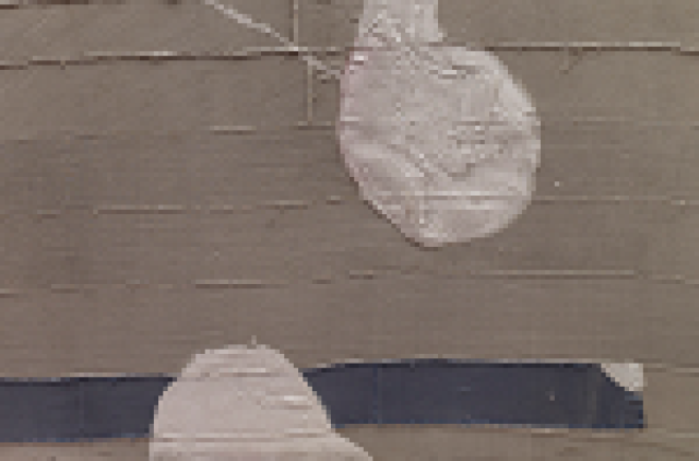 legion of honor julian schnabel symbols of actual life member