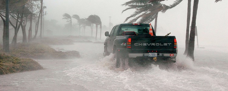 Unique Marketing Ideas for Disaster Restoration