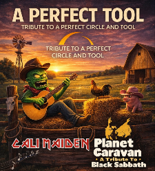 A Perfect Tool - Tribute to Tool and Perfect Circle