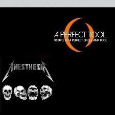 A Perfect Tool - Tribute to Tool and Perfect Circle