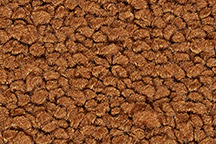 ACC FITS 1955 Ford Mainline 4DR Hardtop Loop Carpet
