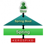 springboot and Aerospike